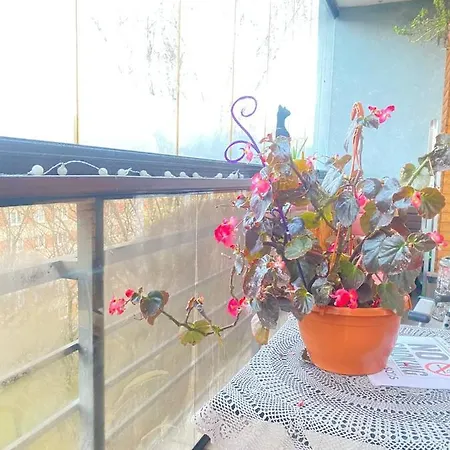 アパート Luxury Penthouse 6th Of 6 Stock Building 2 Bed Apartment, 1 Br *