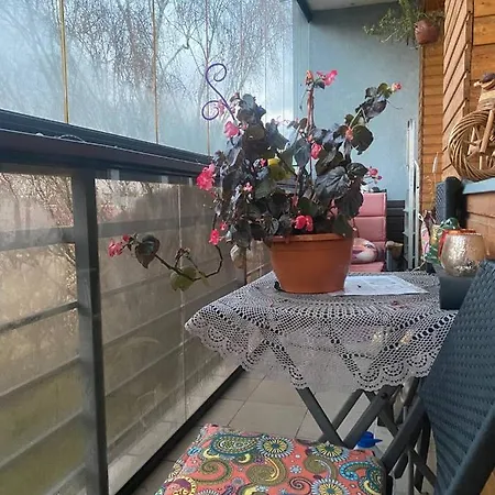 Luxury Penthouse - 6th Floor With Sofa Bed Apartment Riga