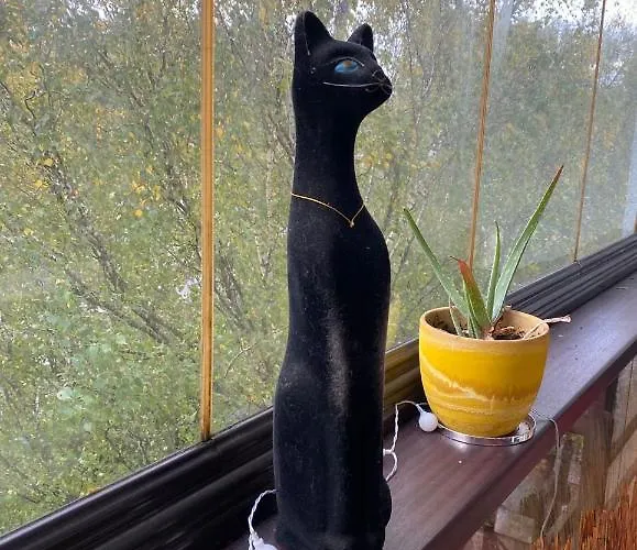 Luxury Penthouse 6th Of 6 Stock Building 2 Bed Apartment, 1 Br