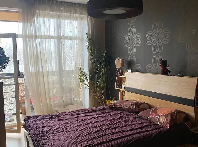 Apartment Luxury Penthouse 6th Of 6 Stock Building 2 Bed Apartment, 1 Br