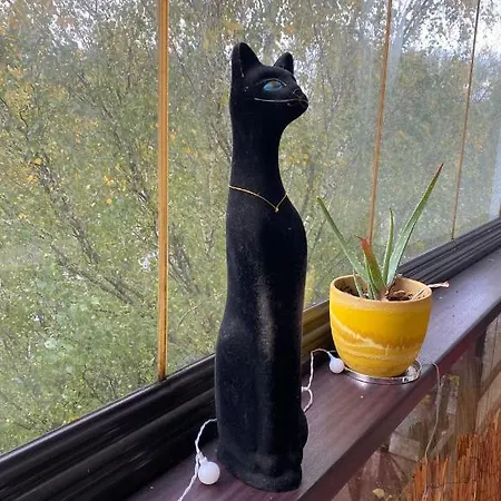 Luxury Penthouse 6th Of 6 Stock Building 2 Bed Apartment, 1 Br